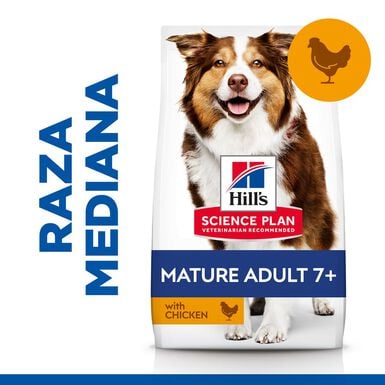 Hill's Science Plan Mature Adult Medium Pollo pienso para perros